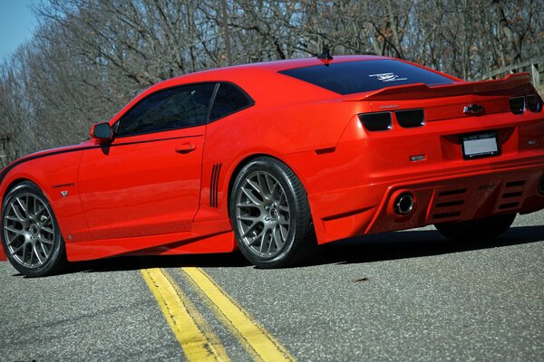 Roter Chevrolet Camaro auf dem Hintergrund des nackten Waldes