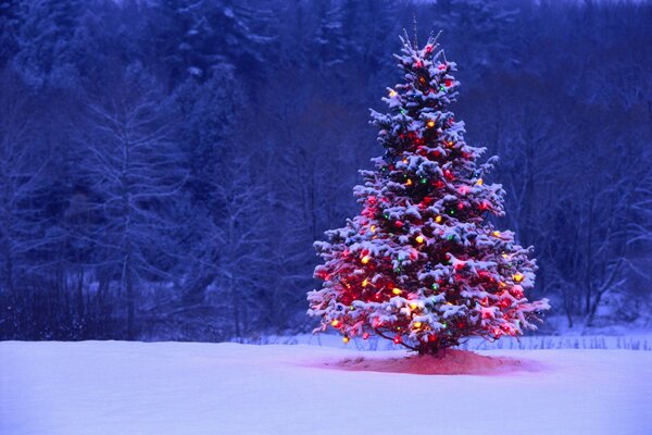 Luci e luci su un albero di Natale su uno sfondo di neve