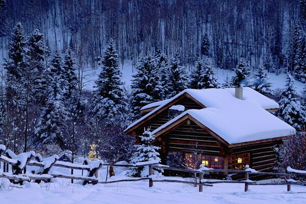 Snow-covered houses and Christmas trees in the new year