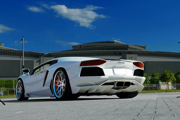 Blanc Lamborghini Aventador LP700-4