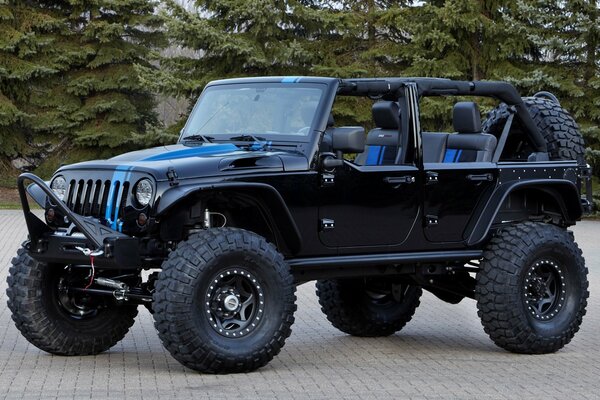 Jeep SUV noir et forêt de pins