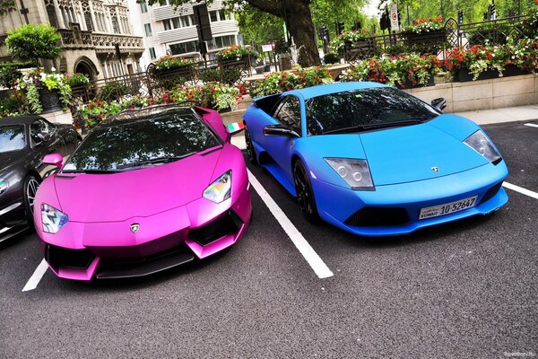 Zwei wunderschöne Lamborghini-Supersportwagen - Pink und Blau - stehen nebeneinander auf dem Parkplatz