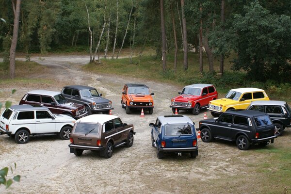 Lada Niva 4x porte dans la clairière