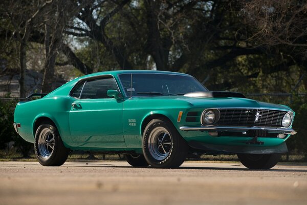 Ford Mustang verde in piedi sulla strada