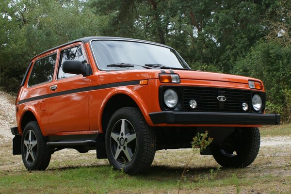 SUV naranja en el camino forestal