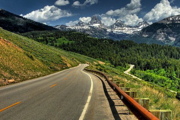 La strada di montagna si trasforma in una foresta verde