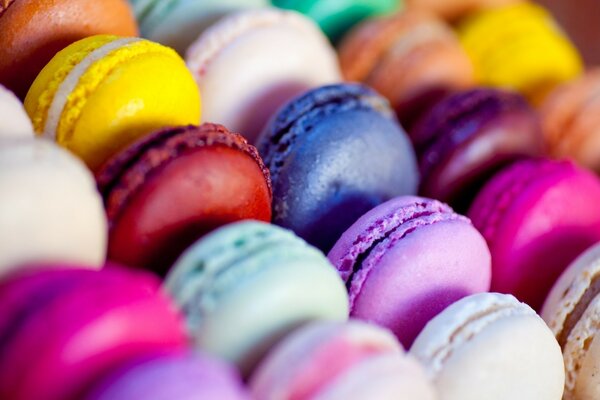 Colorful macaroons for food