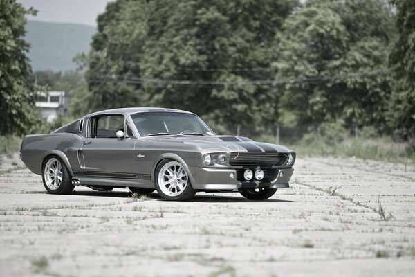 Beautiful Ford Mustang on the old runway