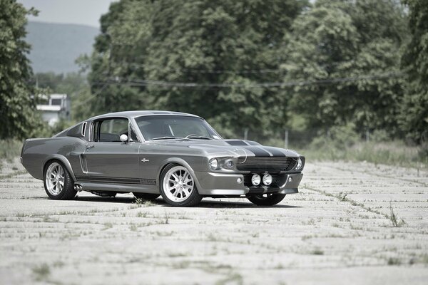 Hermoso Ford Mustang en la vieja pista