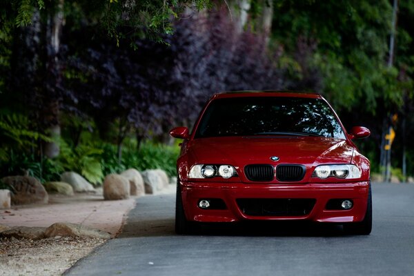 Red bmw car surrounded by trees