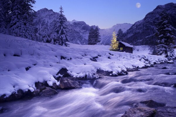 Christmas tree near the river in snowy winter