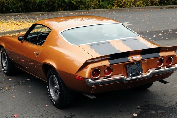 Chevrolet camaro orange rear view