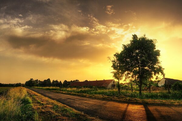 Coucher de soleil dans un village avec une cabane et des arbres