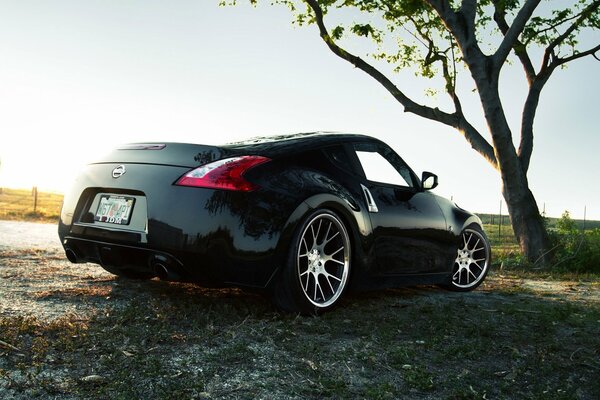 Neben einem Baum schmückt ein Nissan 370z die Natur