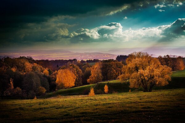 Schönes Herbstfeld vor dem Regen