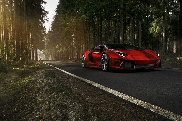 Lamborghini sangriento en el camino forestal de otoño