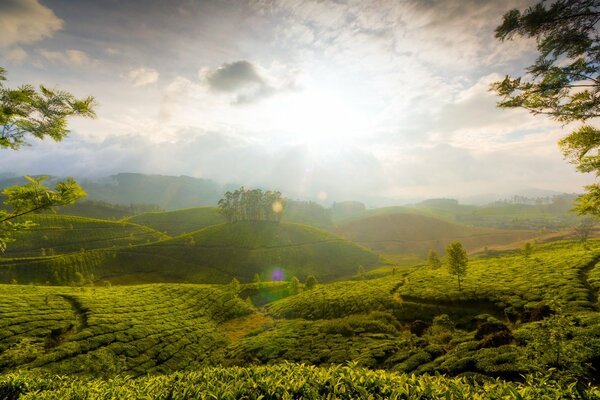 Green-covered hills in the rays of sunlight