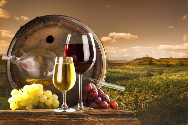 Wine glasses, barrel, grapes on the background of a vineyard