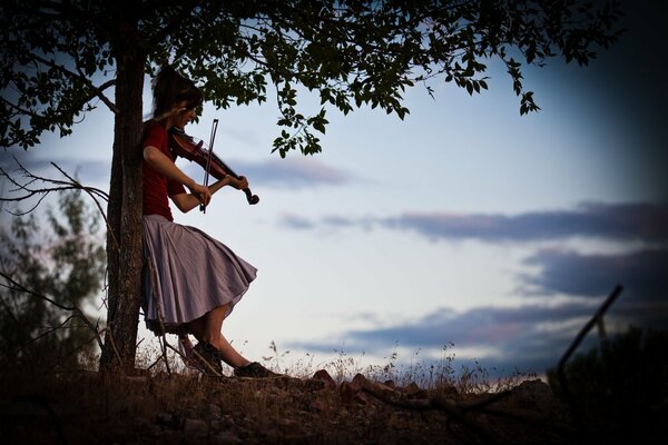 Lindsay Stirling is a violinist and a beauty