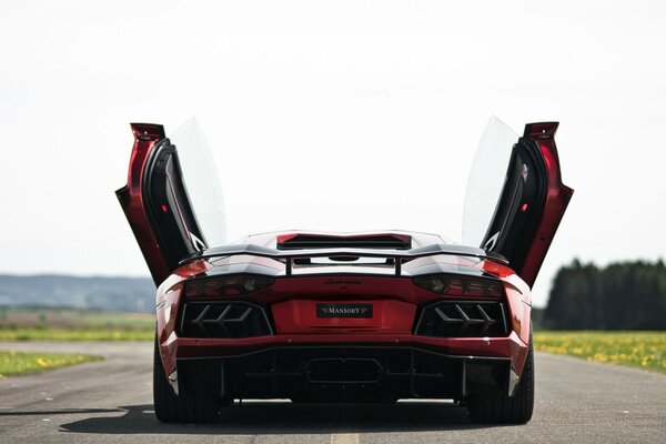 Lamborghini rosso avenodor si trova sulla strada con le porte aperte