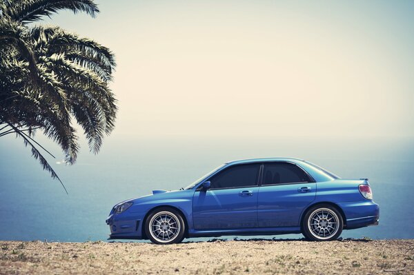 El coche azul de Subaru se encuentra junto a la palma