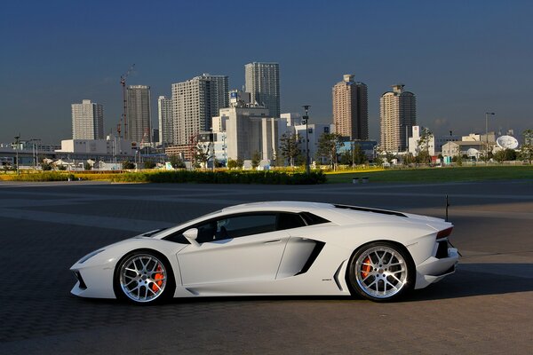 Snow-white Lamborghini ri on the background of Texas skyscrapers