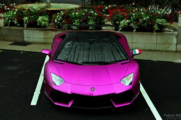 Beautiful lilac color of the car