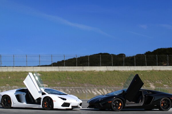 Lamborghini Aventador in bianco e nero con porte aperte