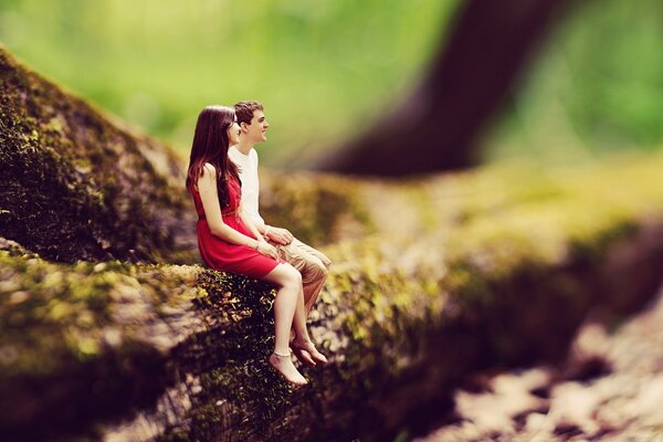 Couple d amoureux assis sur un arbre dans la forêt