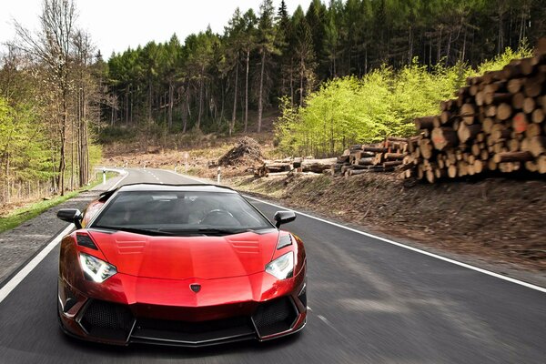 The car stopped on the road in the woods