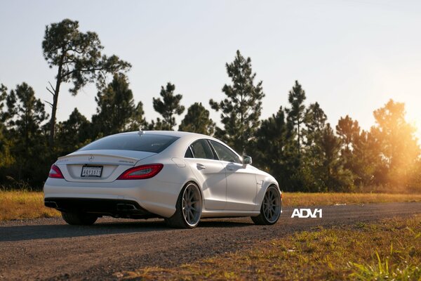 Sedán Mercedes blanco, vista trasera, en la carretera, en el fondo de los árboles