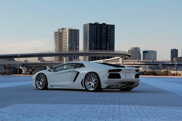 Spectacular white lamborghini in the metropolis