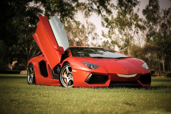 Roter Lamborghini auf dem Rasen mit offener Tür