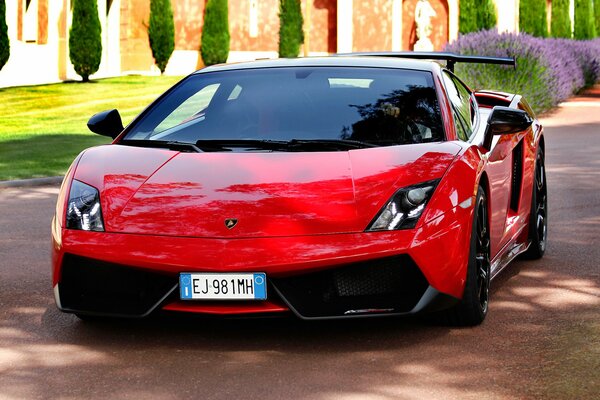 Hermoso coche deportivo rojo Lamborghini Gallardo