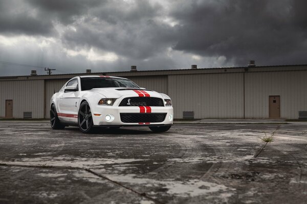 Ein weißer Mustang mit roten Streifen steht vor Garagen