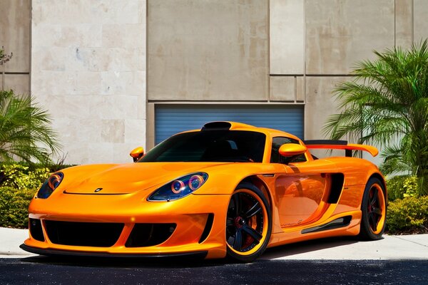 Orange Porsche auf Palmen Hintergrund