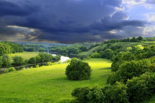 Summer nature green trees by the river