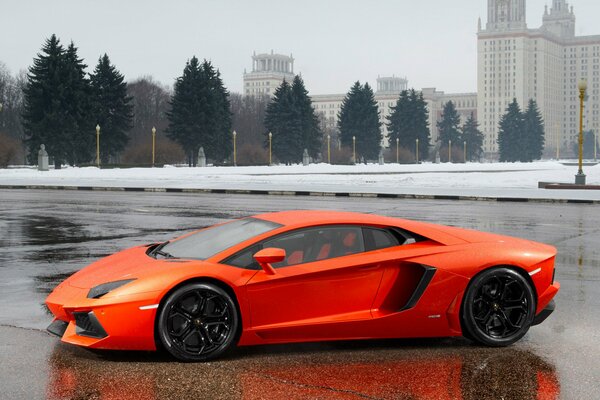 Orange lamborghini aventador LP700-4 on the background of MSU