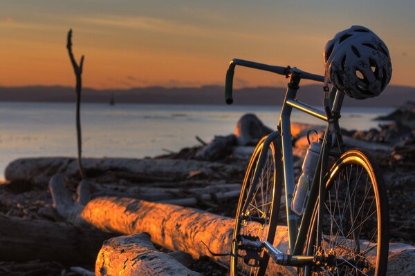 Vélo sur le rivage se dresse sur les bûches