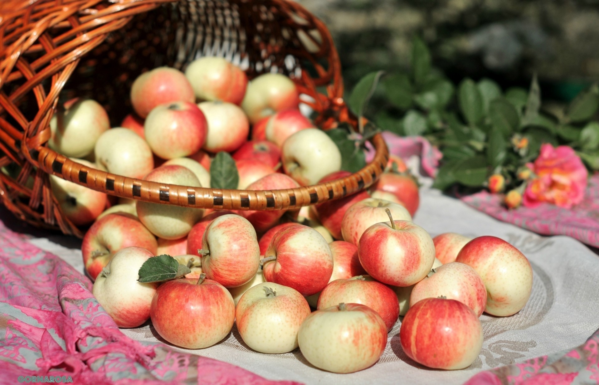 manzana cesta comida compras manzanas