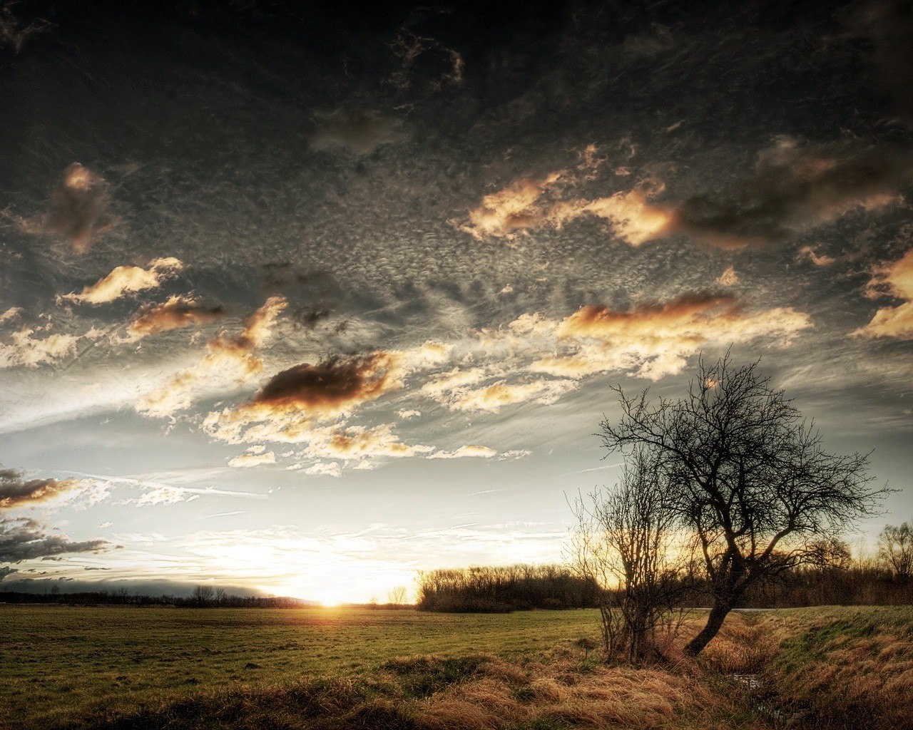 sonnenaufgang sonnenuntergang elefant steppe bach