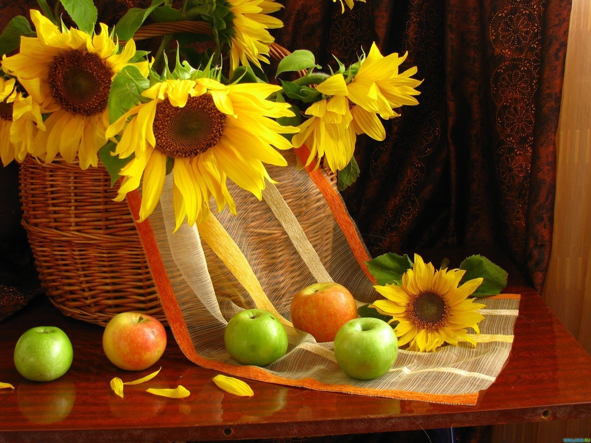 unflowers flowers fruit apples petals still life