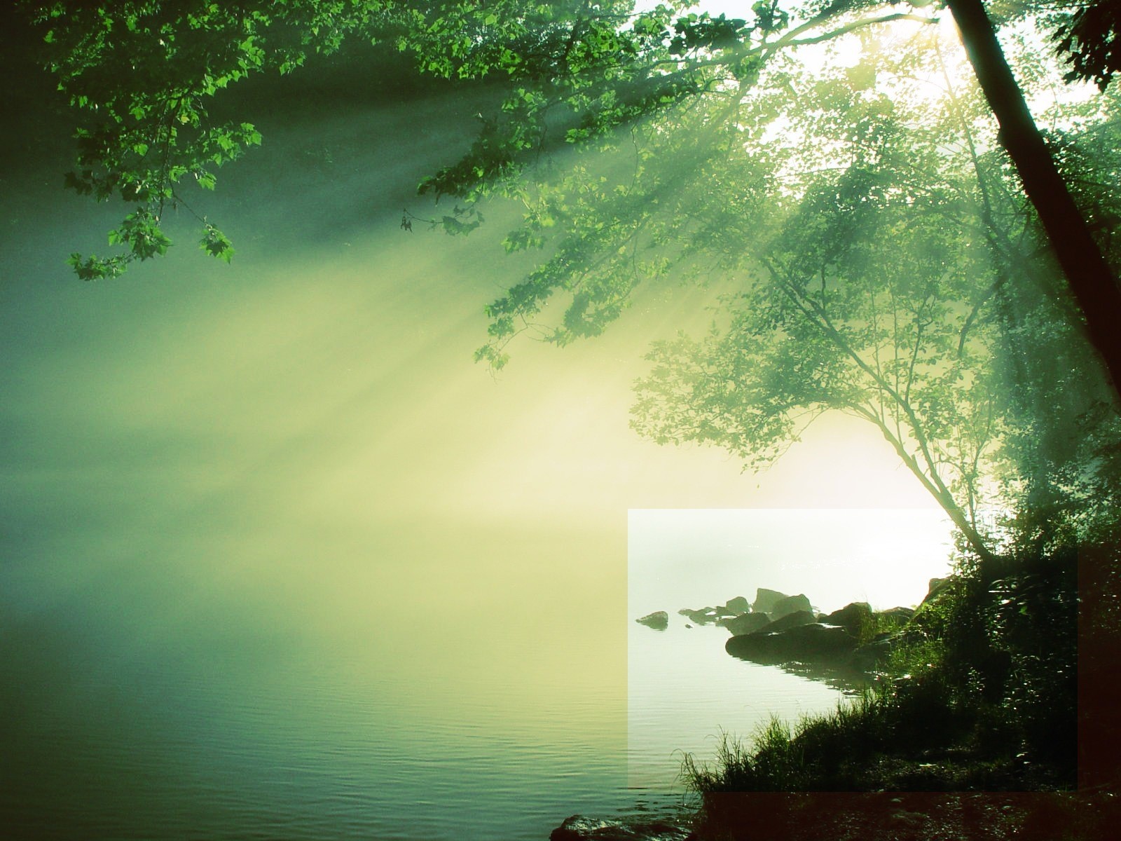 sole fiume albero acqua