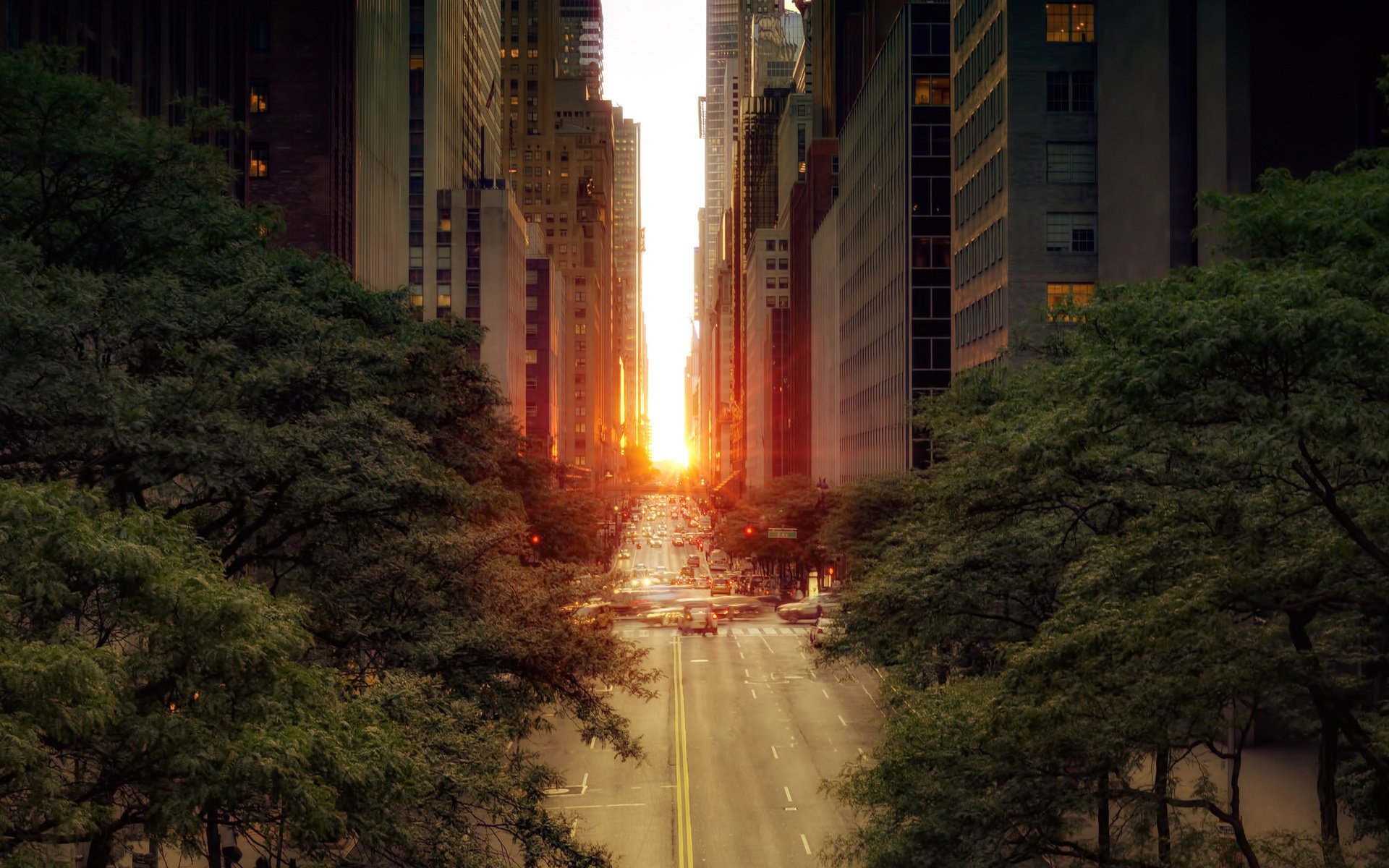 straße sonne straße stadt autos laub bäume