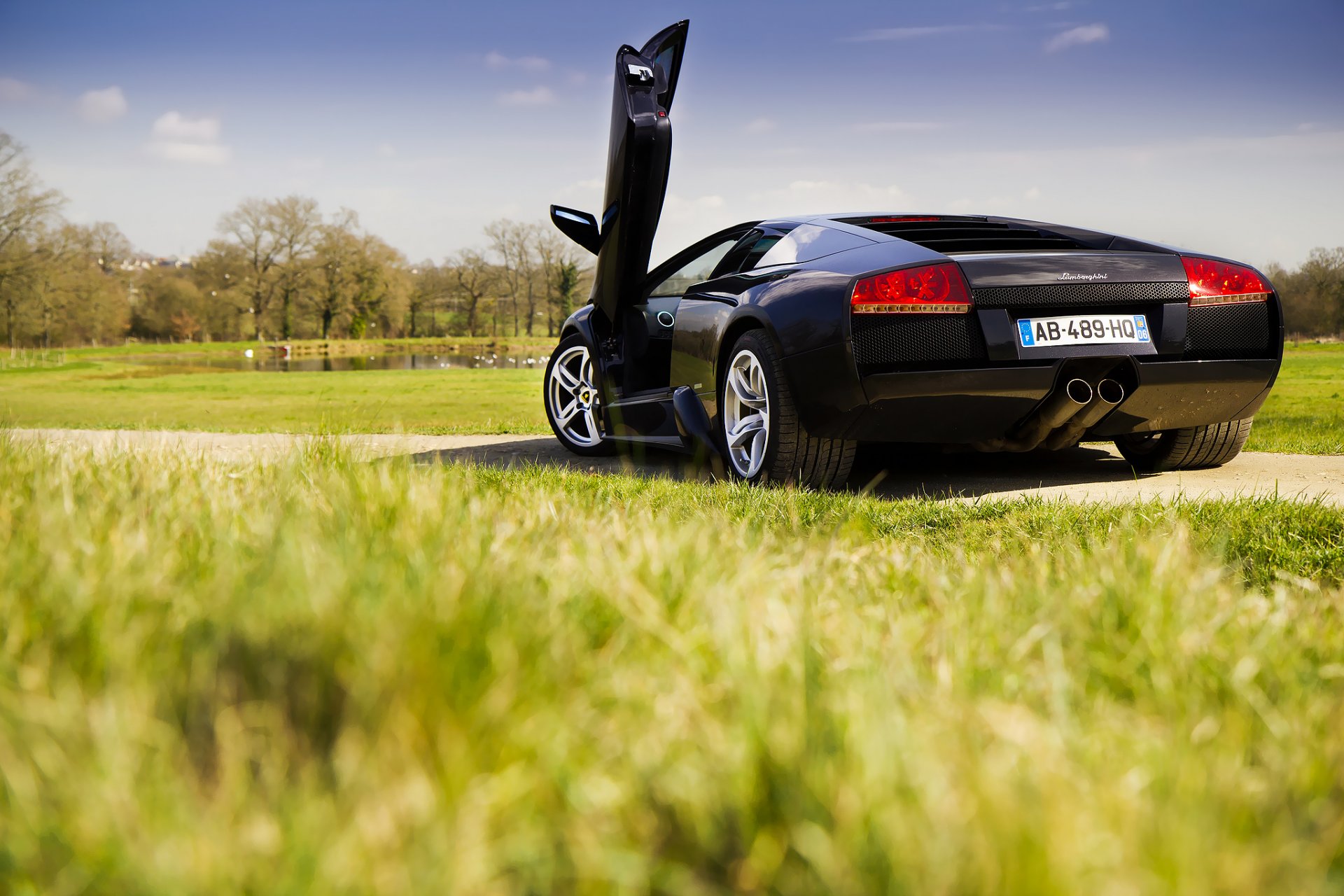 lamborghini murcielago erba primavera cielo