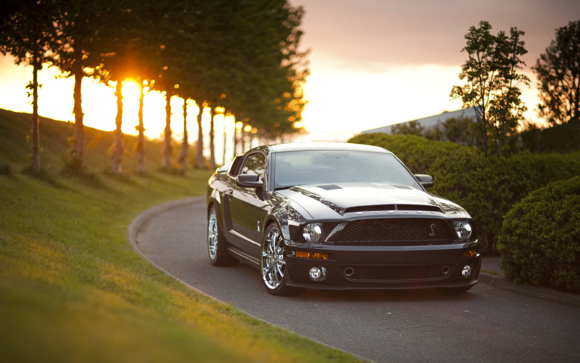 mustang coche callejón camino