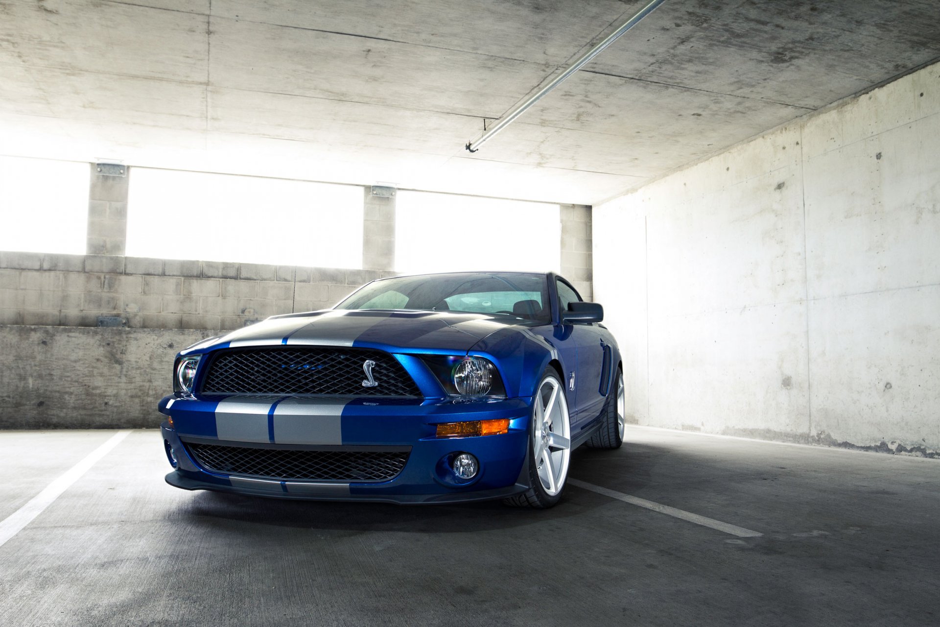 ford mustang gt500 shelby auto papel pintado del coche azul rayas rayas blancas