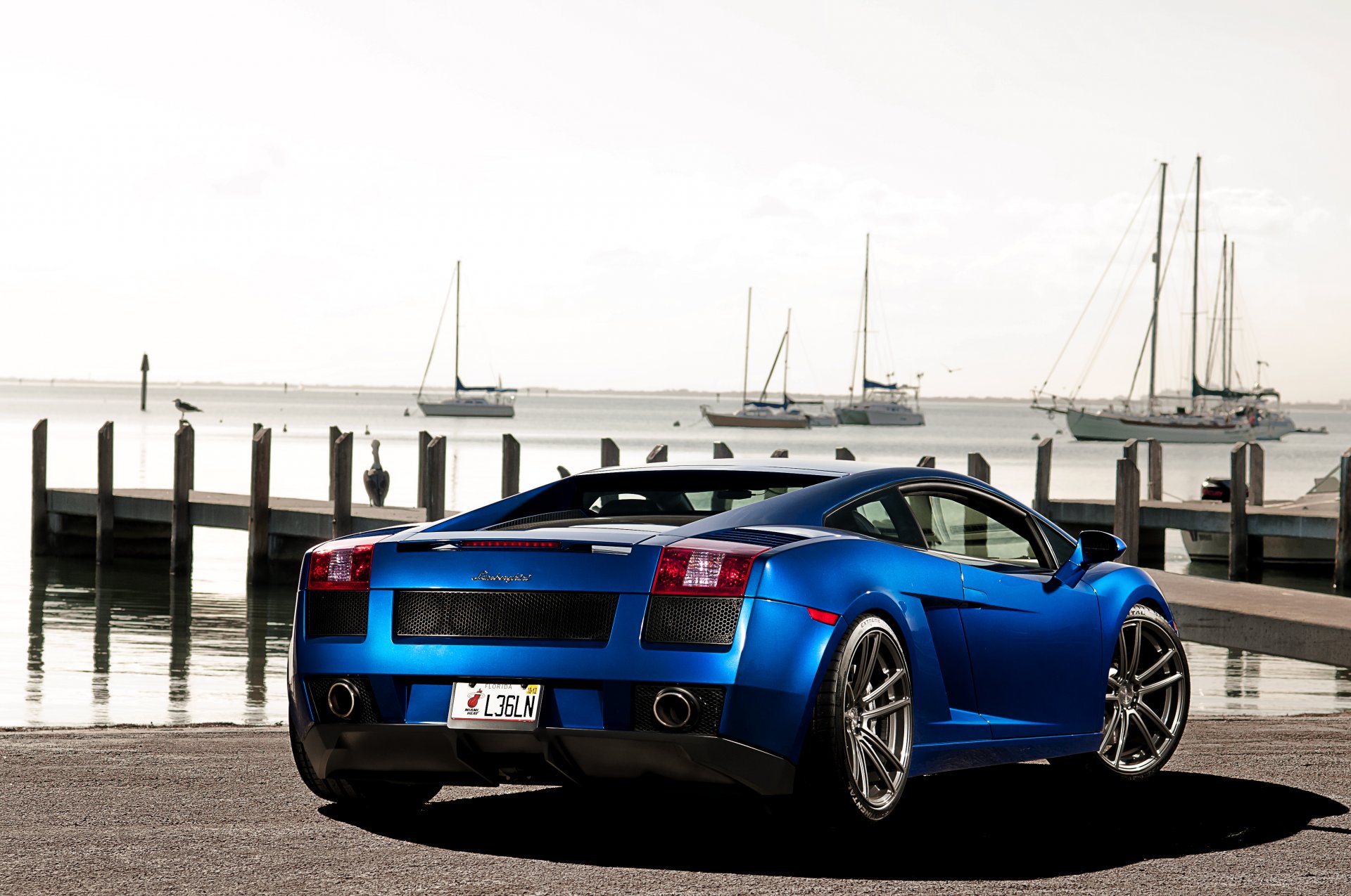 lamborghini gallardo blau lamborghini lamborghini gallardo heck himmel liegeplatz yachten