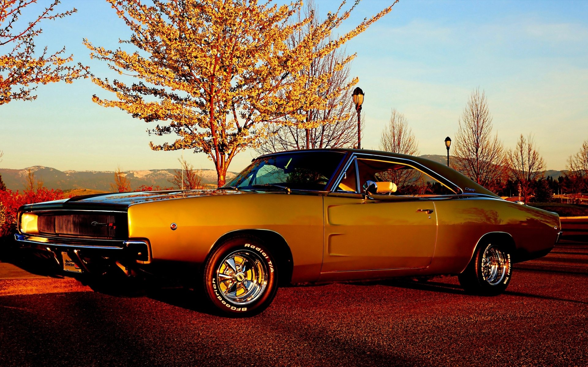 dodge charger r/t 1968 dodge charger front end muscle car muscle car sky