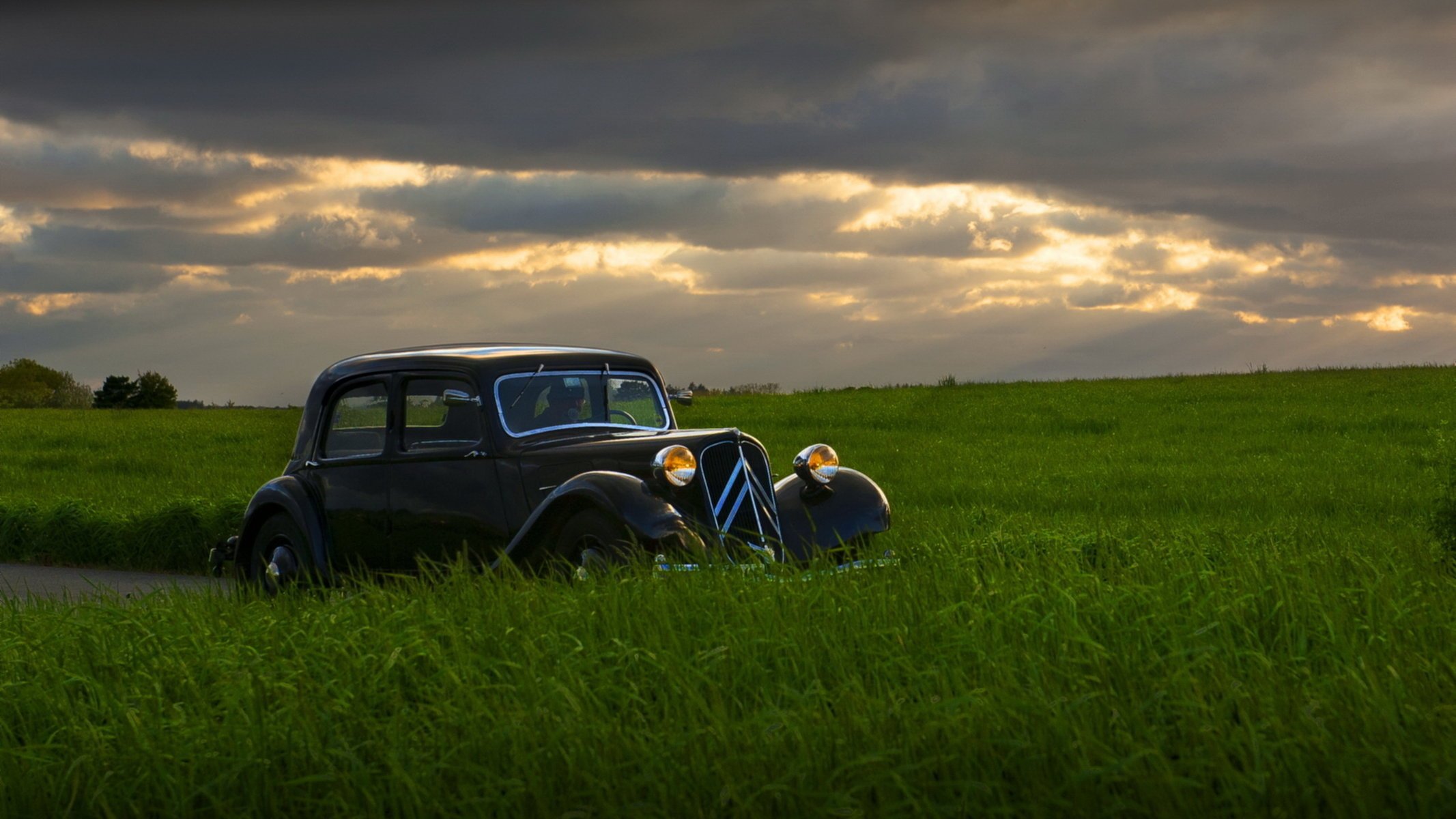 feld auto nacht